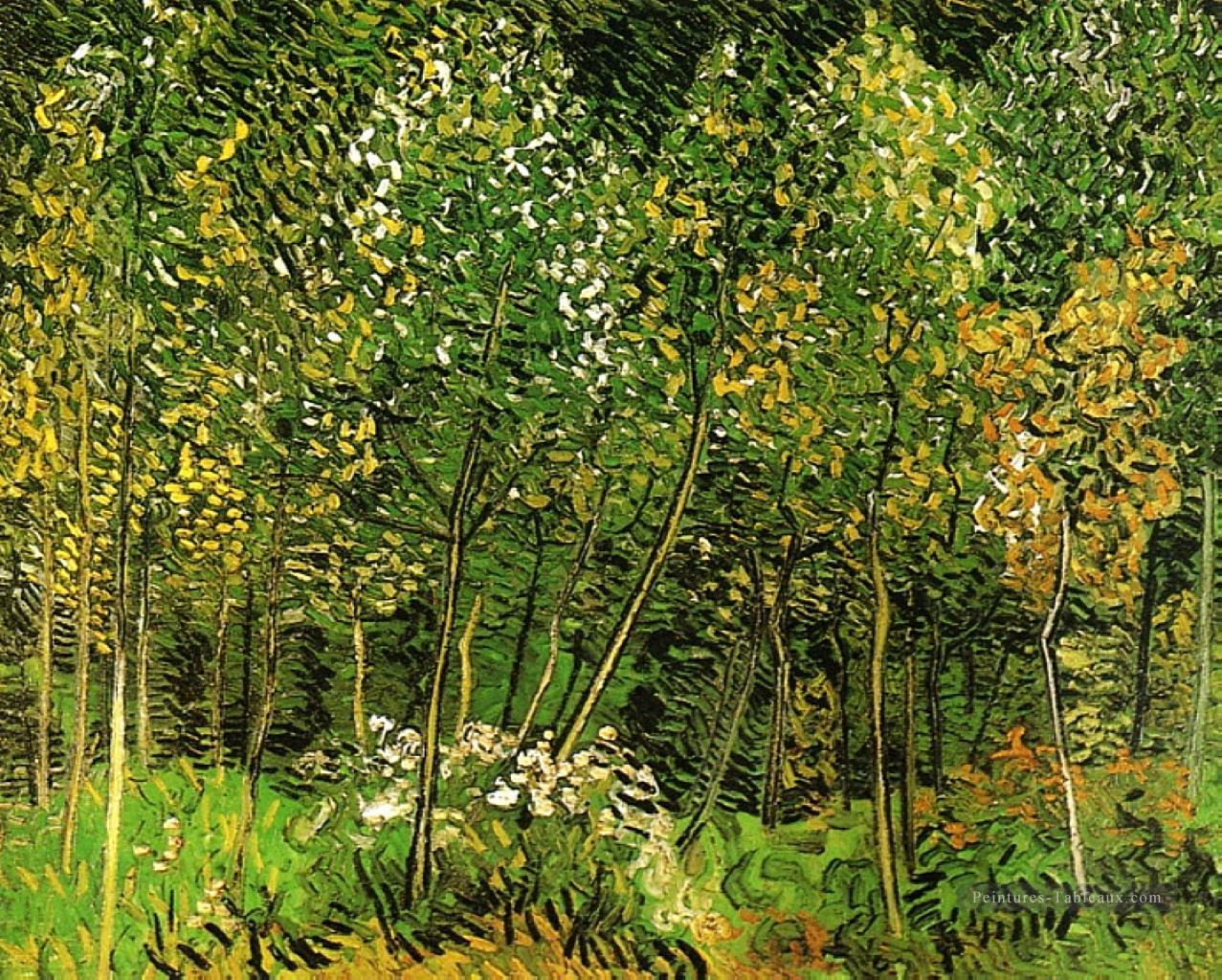 Le Grove Vincent van Gogh Peintures à l'huile